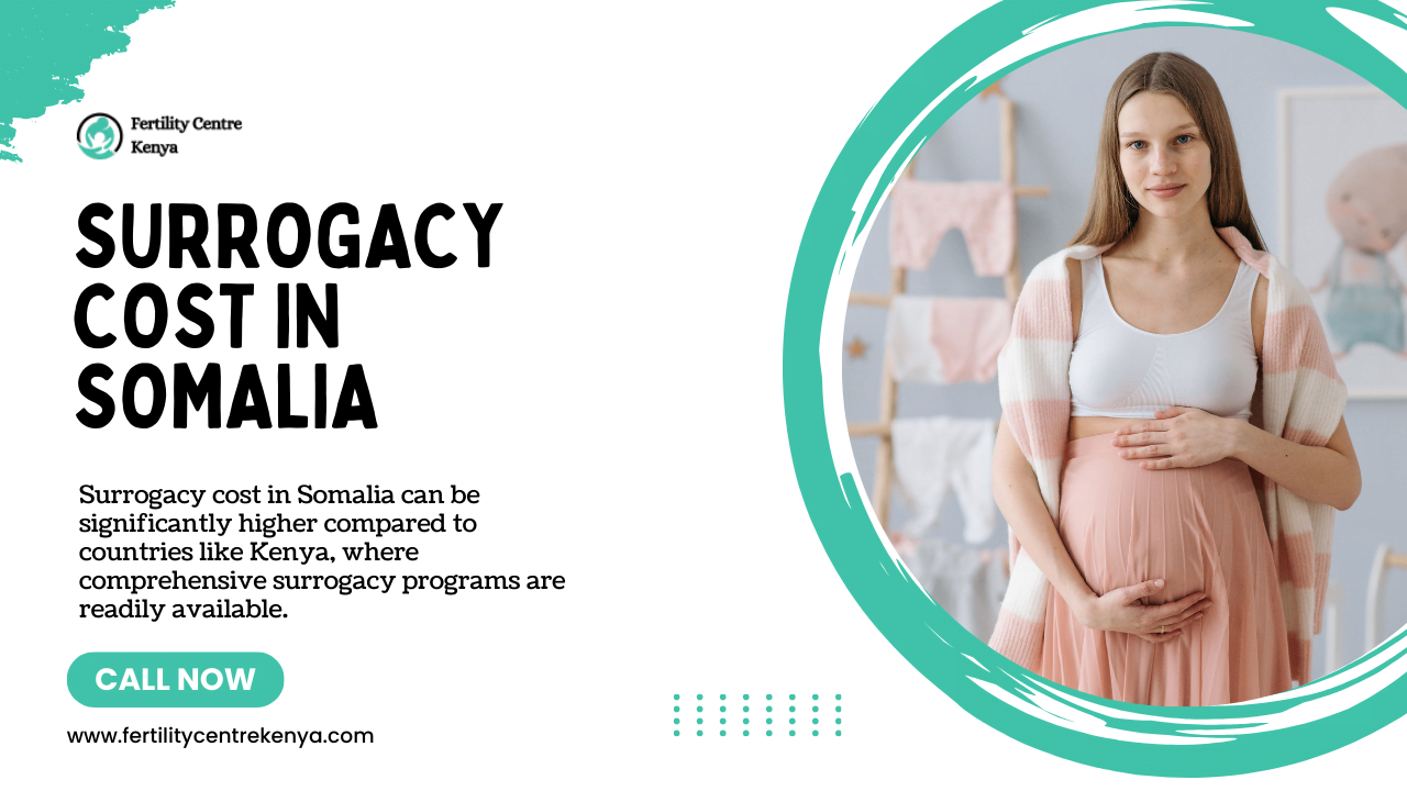 Surrogacy Cost in Somalia 2024: Exploring Affordable Family-Building Solutions