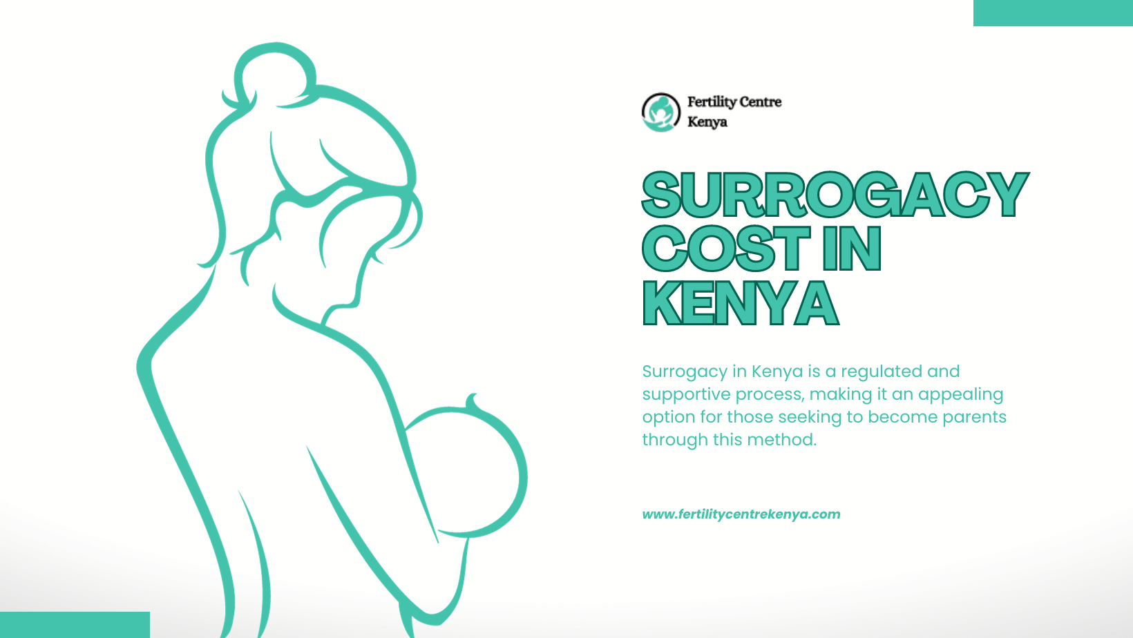 How Much Does Surrogacy Cost in Kenya 2024?
