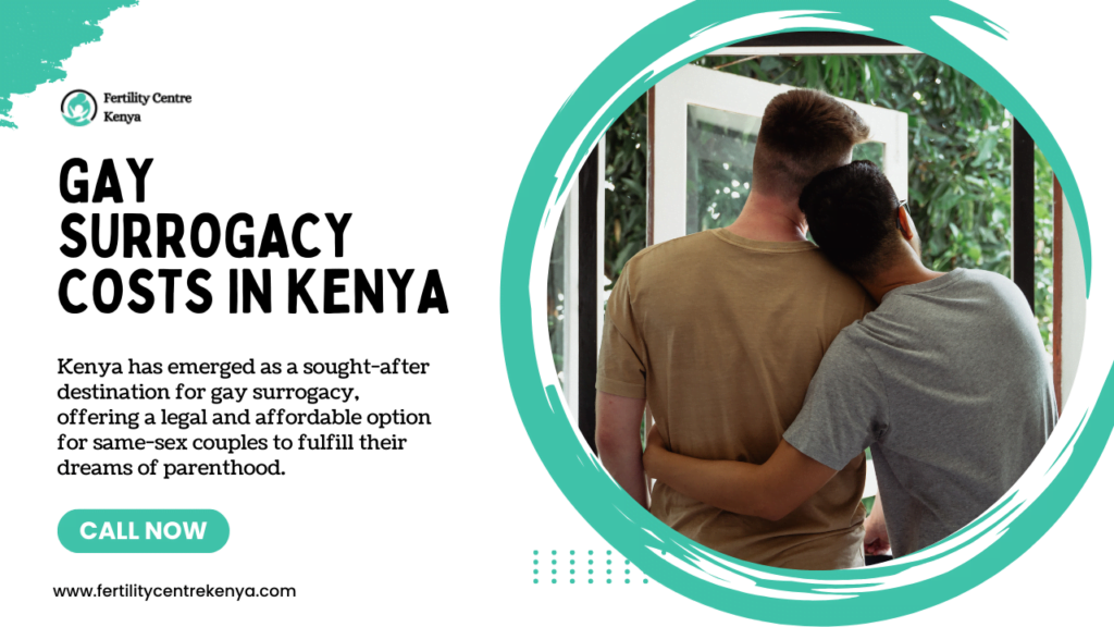 Gay Surrogacy Costs in Kenya
